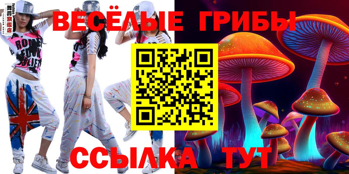 Обнинск  Псилоцибиновые грибы Psilocybe  Вход с VPN 