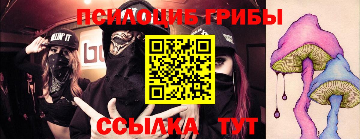 Псилоцибиновые грибы мухоморы Обнинск